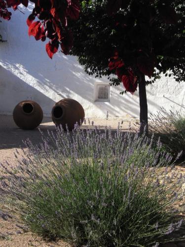 Agroturismo Casa Rural La Alameda