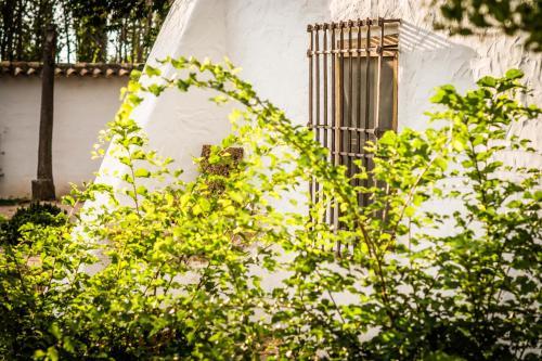 Agroturismo Casa Rural La Alameda