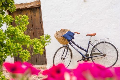 Agroturismo Casa Rural La Alameda