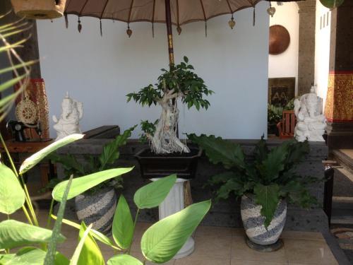 Hostal AA Residence