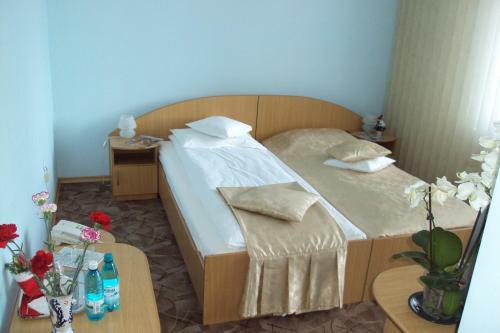 Hostal Pensiunea Warthe