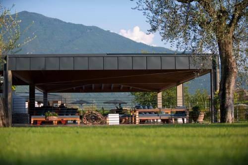 Hostal Vivere Suites & Rooms