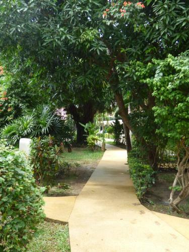 Hotel Samui Beach Resort Beach Front Rooms