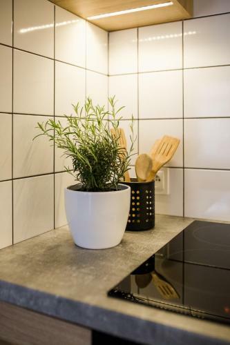 The Best Stay Central Apartment Gdansk
