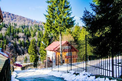 Villa Vila Piscul Ursului