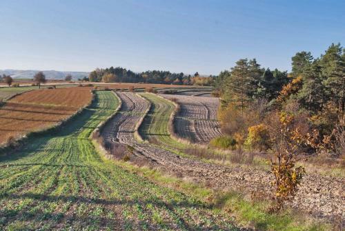 Agroturismo Brzozowy Dworek