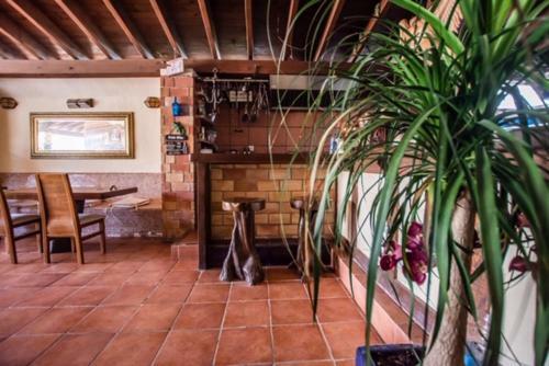 Apartamentos El Cortijo