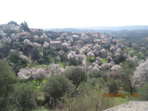 Agroturismo Oinochori