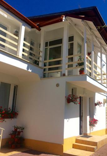 Hostal Suri Guesthouse