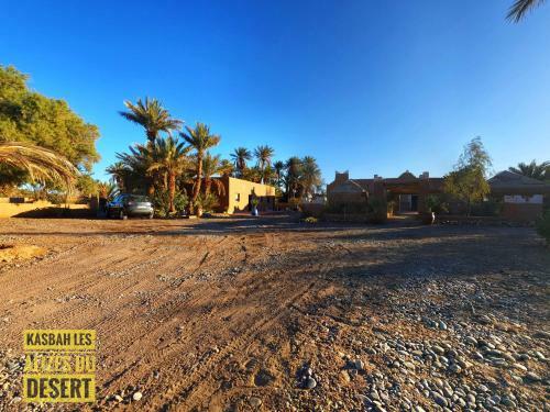 Bed & Breakfast Kasbah Les Alizes Du Desert