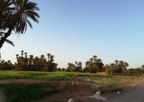 Bed & Breakfast Kasbah Les Alizes Du Desert