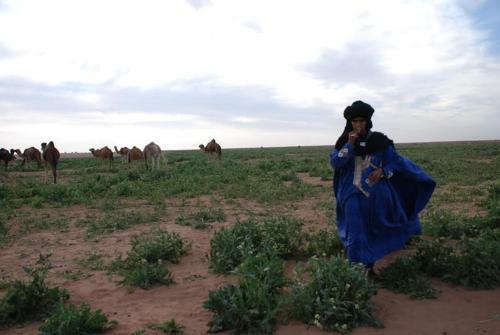 Bed & Breakfast Kasbah Les Alizes Du Desert