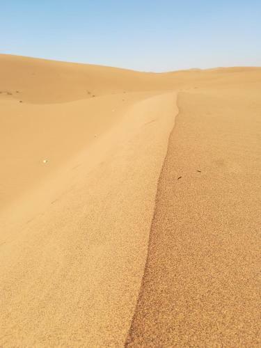 Bed & Breakfast Kasbah Les Alizes Du Desert