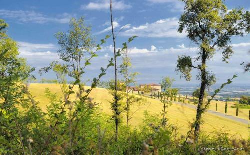 Agroturismo Relais La Colombara Spa & Wellness