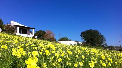 Agroturismo Casa Dos Mangues