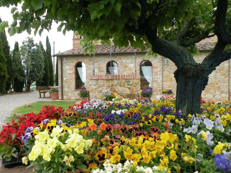 Hostal Agriturismo Bonello