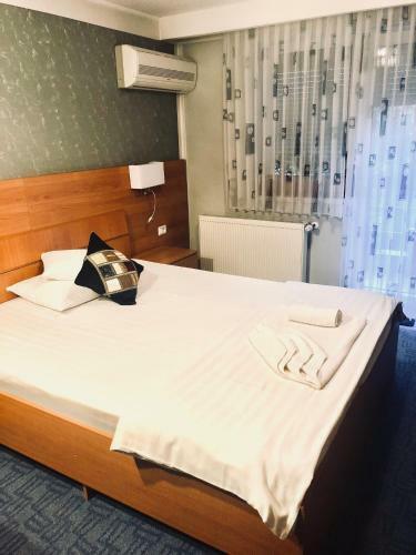 Hostal Pensiunea Sofia