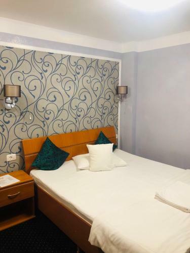 Hostal Pensiunea Sofia