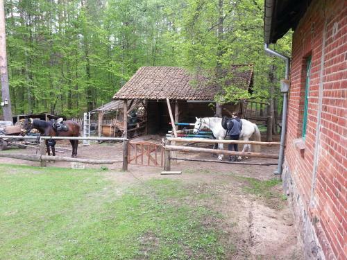 Agroturismo Le?nicz�wka Jednoro?ec