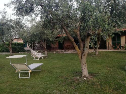 Hostal Don Federico Country Inn
