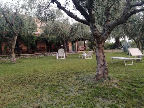 Hostal Don Federico Country Inn
