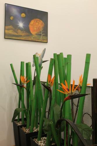 Hostal Villa Lido