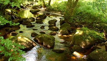 Agroturismo Gidleigh Park Hotel