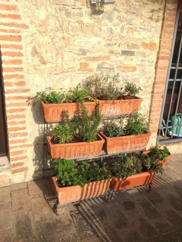Hostal Residenzia Del Sogno