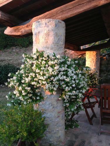 Hostal Residenzia Del Sogno