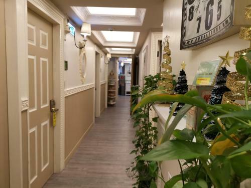 Taipei Backpackers Hostel - C