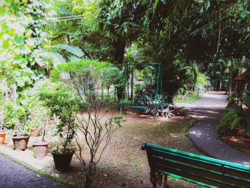 Bed & Breakfast Palm Grove Service Villa