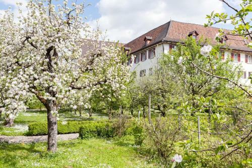 Hostal Kloster Dornach