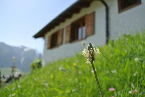 Hostal Ustria / Pensiun Trutg