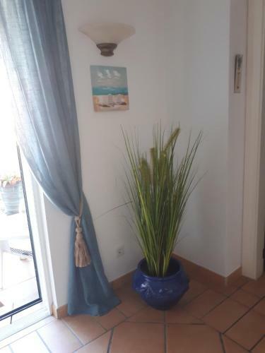 Apartment Golf De Vila Sol