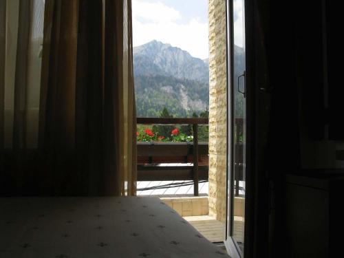Hostal Hotel Piatra Soimului