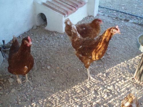 Agroturismo Casas Rurales Venta Seca