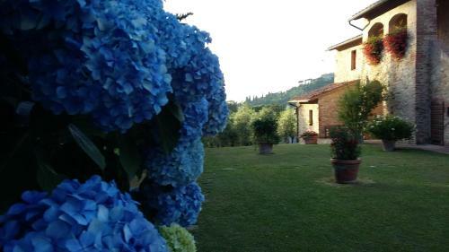 Hostal Frateria Di San Benedetto