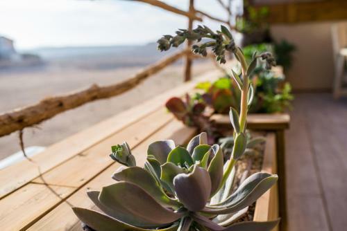 Lodge Desert Home