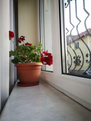 Hostal Villa Casa Ioana