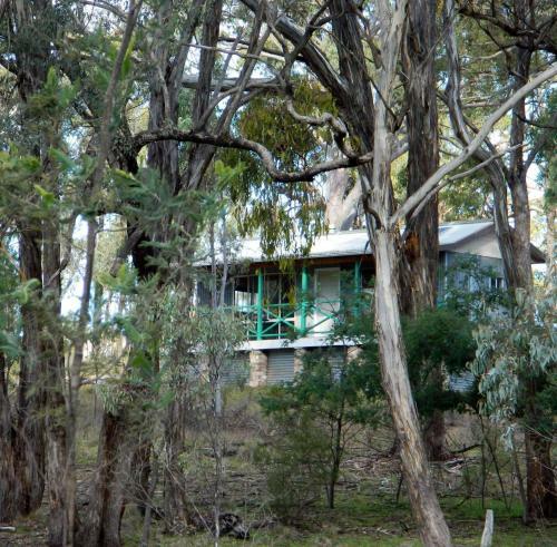 Agroturismo Mimirosa Bush Cabin