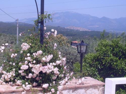 Agroturismo B&B H.m.