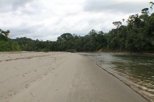 Lodge Isla Ecologica Mariana Miller