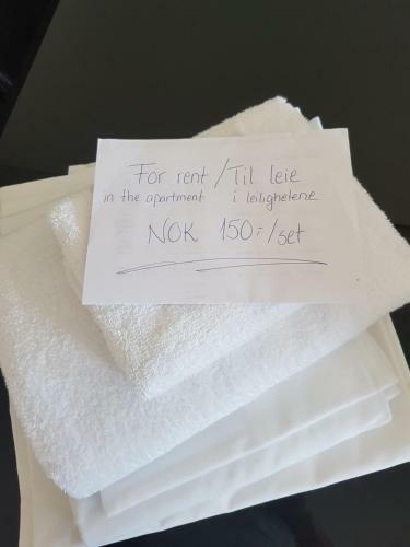 Bykle Hotel
