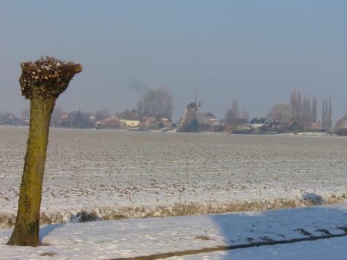 B&B Korendijk