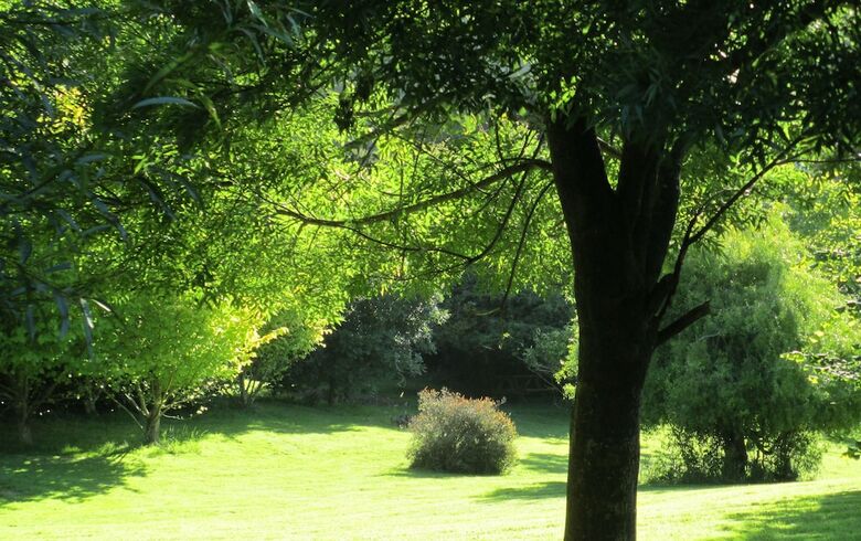 Leithview Bed & Breakfast