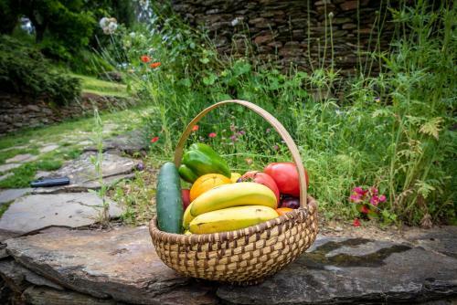 Agroturismo Quinta Da Raba�osa - Turismo Rural