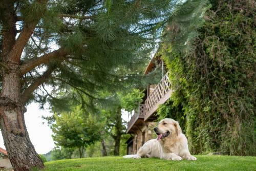 Agroturismo Quinta Da Raba�osa - Turismo Rural