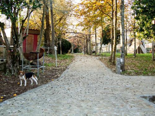 Hostal Laranjalim�o