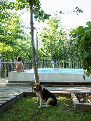 Hostal Laranjalim�o