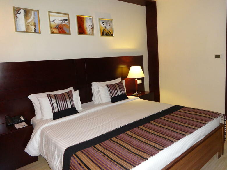 Hotel Golden Tulip Udaipur